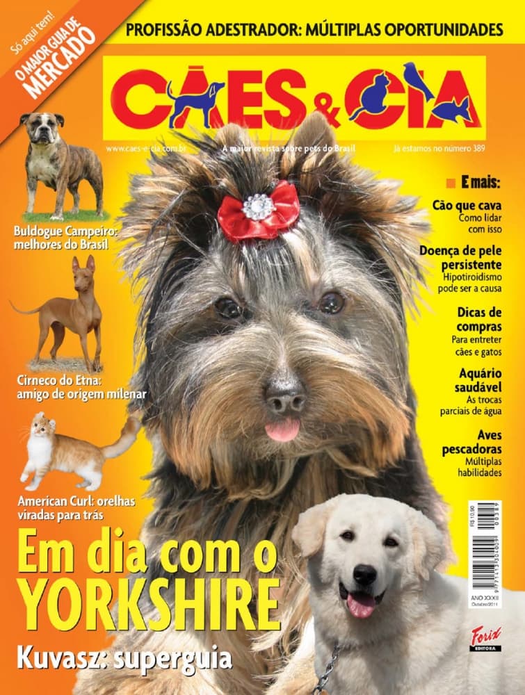 Edição 389