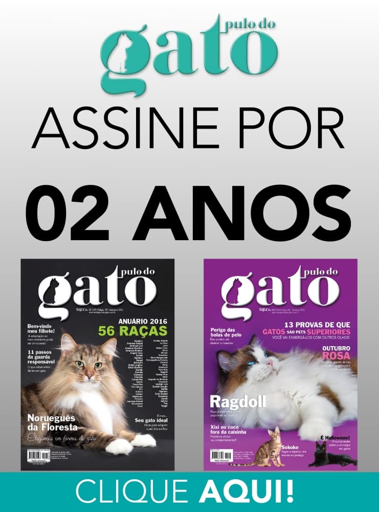 Assinatura Pulo do gato - 24 MESES BIMESTRAL